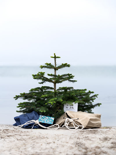 Gaveinnpakning med kort